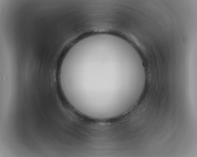 X0000112390543200908131346