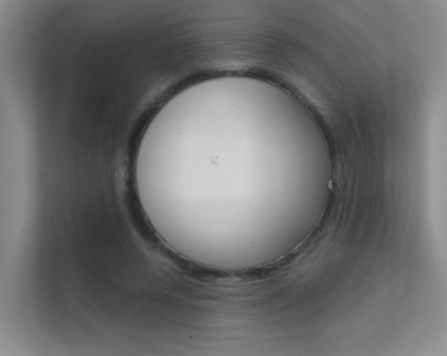 X0000112390544200908131346