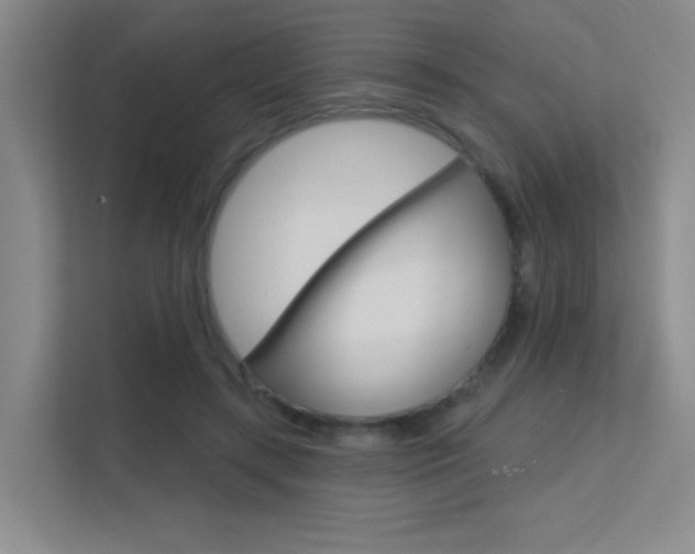 X0000112390547200908131346