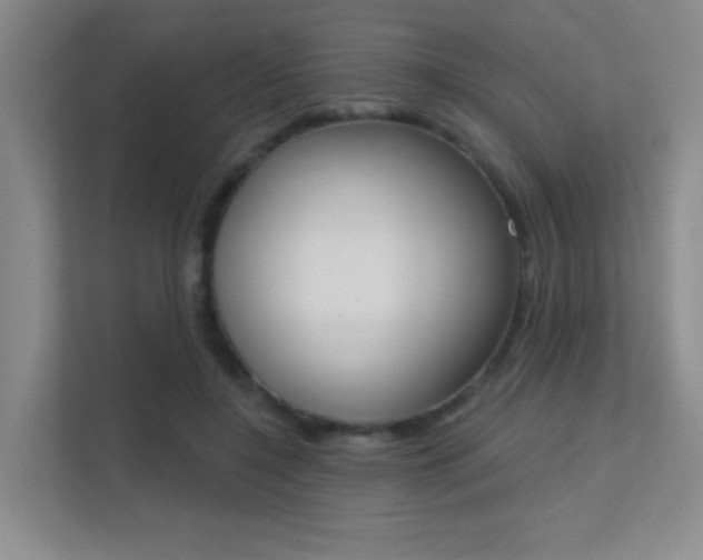 X0000112390548200908131346