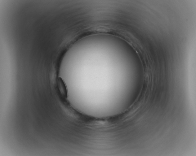 X0000112390552200908131346