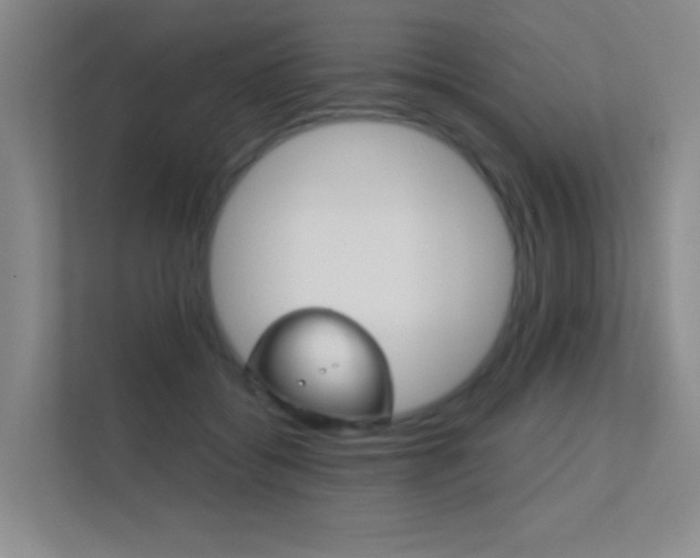 X0000112390556200908131346