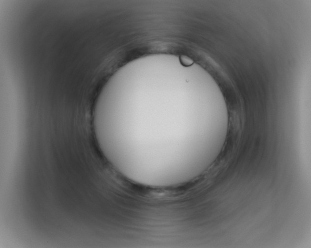 X0000112390557200908131346