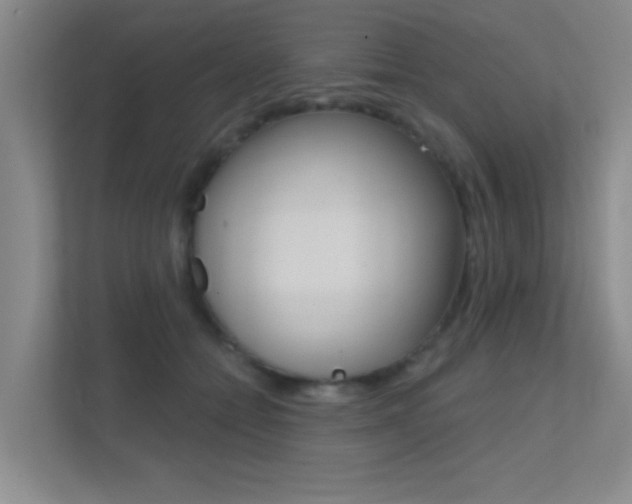 X0000112390558200908131346