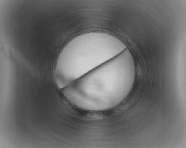 X0000112390559200908131346