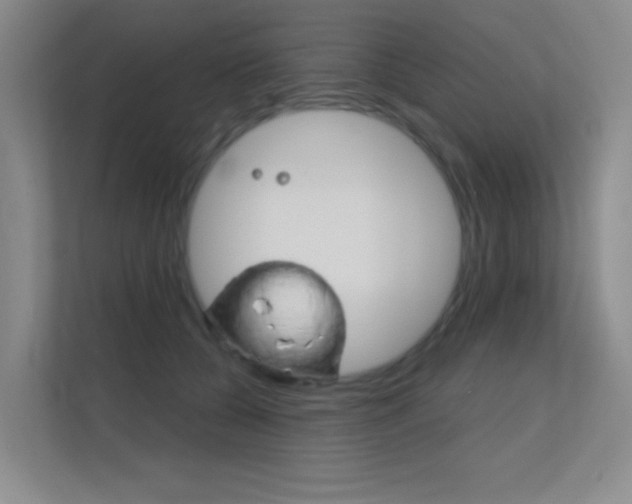 X0000112390560200908131346