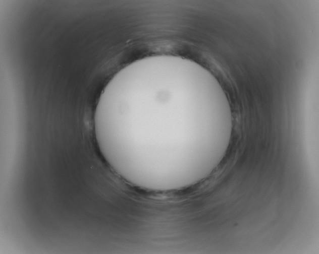 X0000112390561200908131346