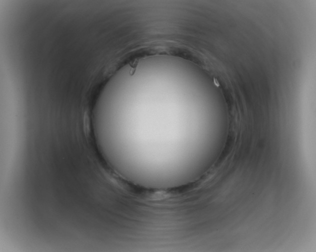 X0000112390562200908131346