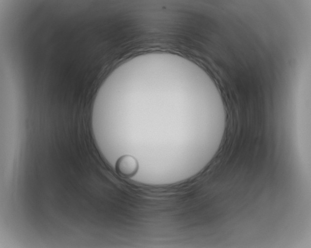 X0000112390564200908131346