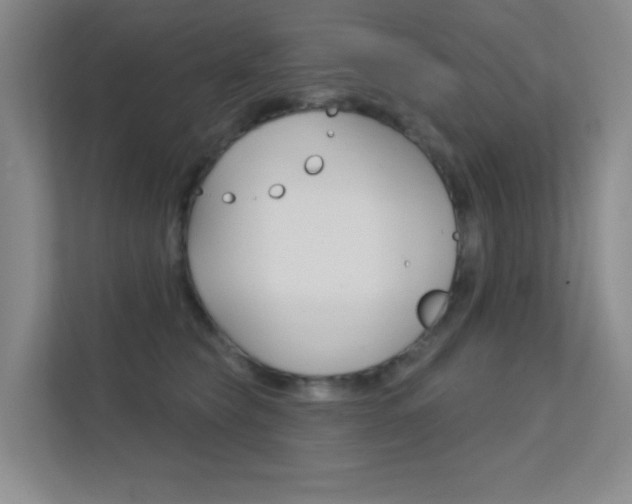 X0000112390565200908131346