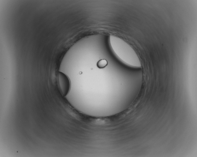 X0000112390566200908131346
