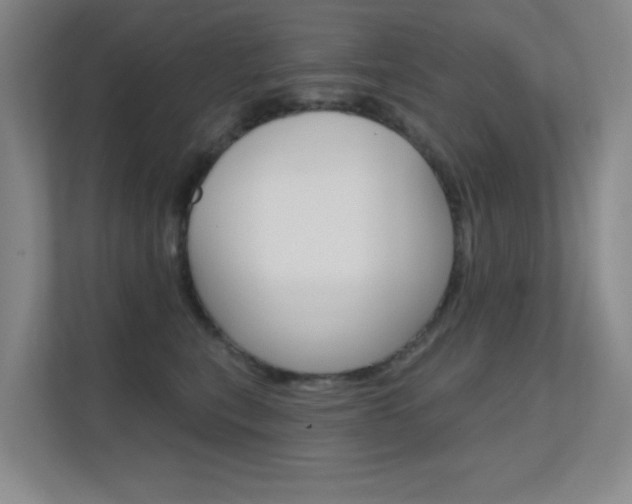 X0000112390567200908131346