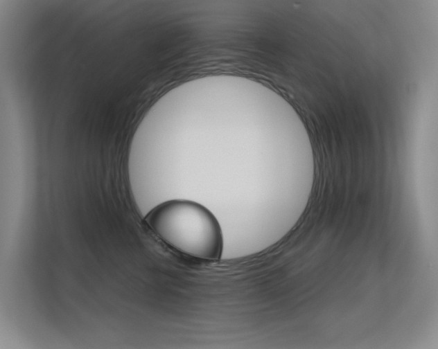 X0000112390570200908131346