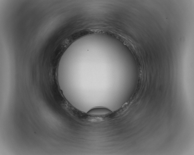X0000112390572200908131346