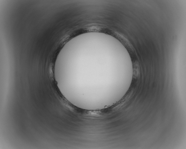 X0000112390573200908131346