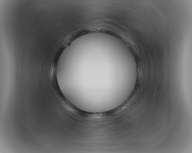 X0000112390574200908131346