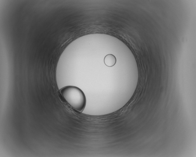 X0000112390576200908131346