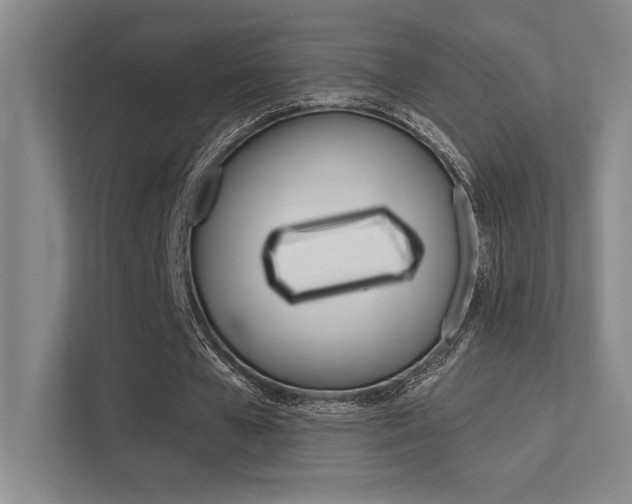 X0000112390577200908131345