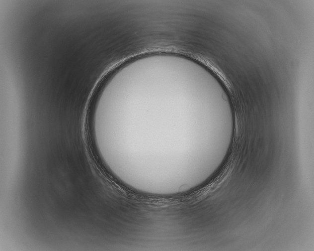 X0000112390579200908131345