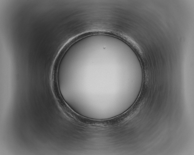 X0000112390580200908131345