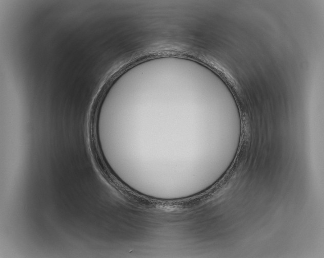 X0000112390582200908131345