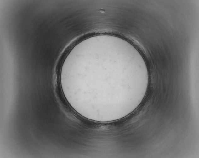 X0000112390584200908131345