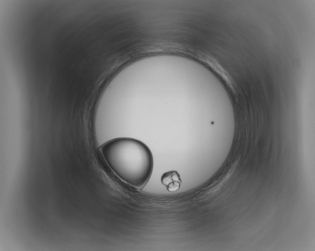 X0000112390585200908131345