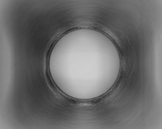 X0000112390586200908131345