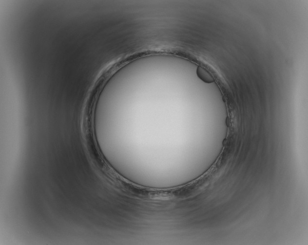X0000112390587200908131345