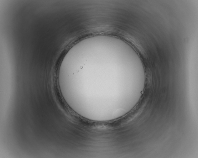 X0000112390590200908131345