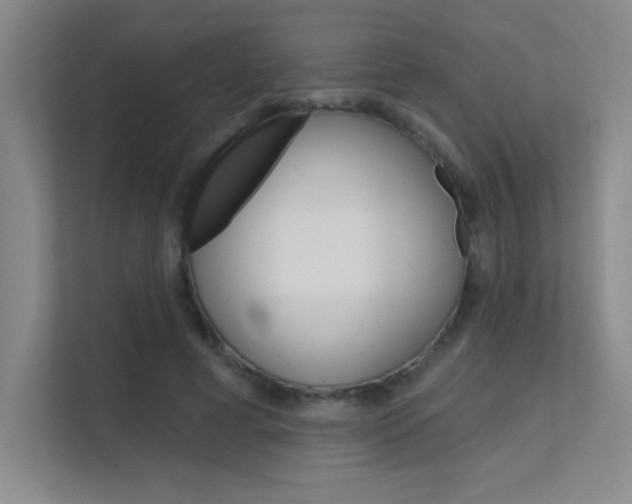X0000112390593200908131345