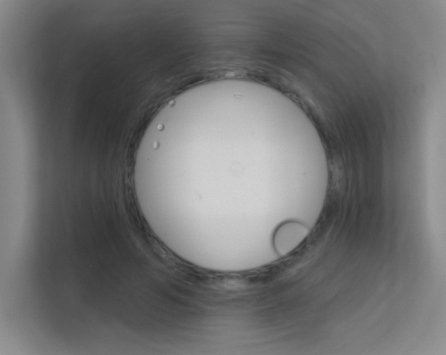 X0000112390594200908131345