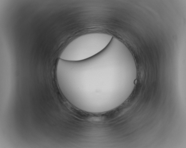 X0000112390595200908131345