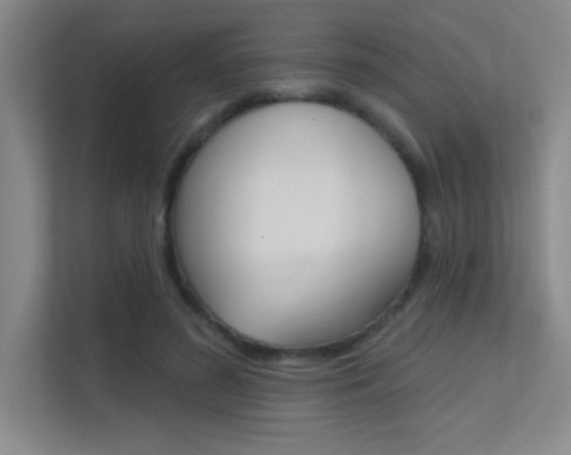 X0000112390596200908131345