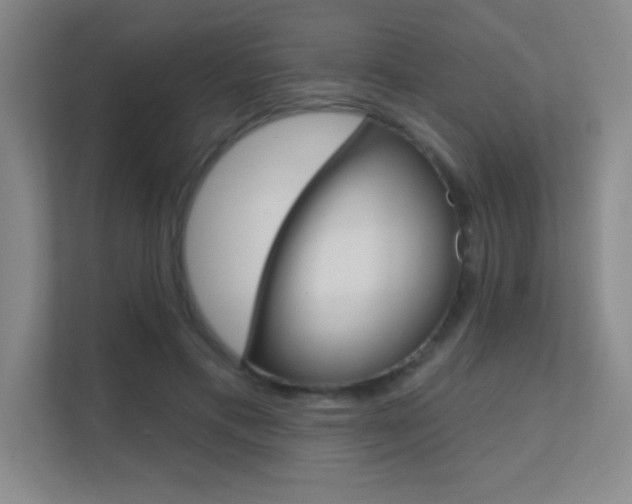 X0000112390597200908131345