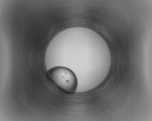 X0000112390599200908131345
