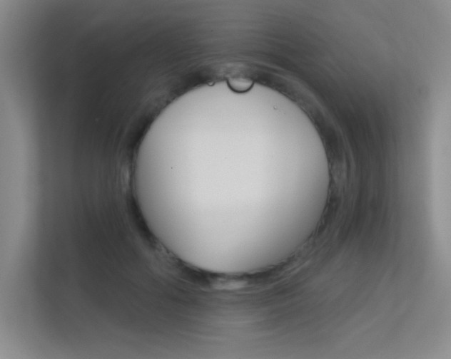 X0000112390602200908131345