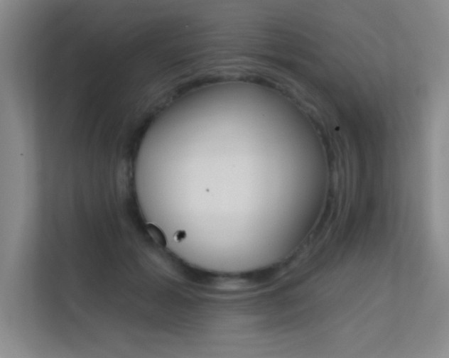 X0000112390605200908131345
