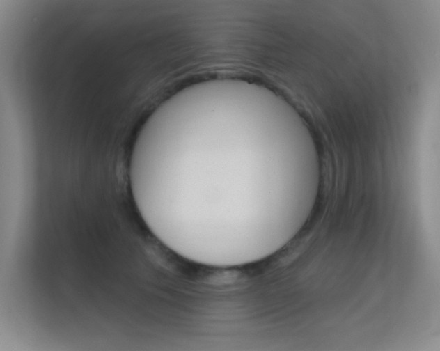 X0000112390609200908131345