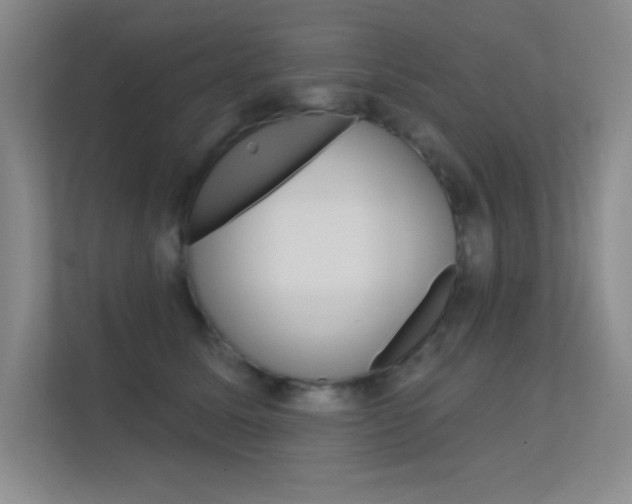 X0000112390611200908131345