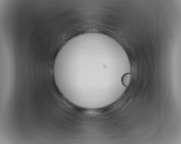 X0000112390614200908131345