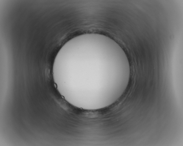 X0000112390615200908131345