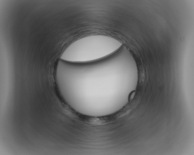 X0000112390616200908131345