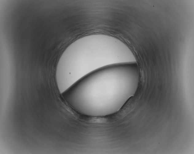 X0000112390617200908131345