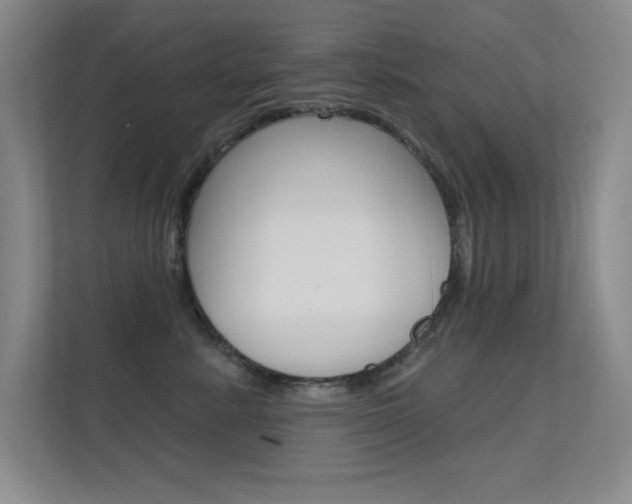 X0000112390619200908131345