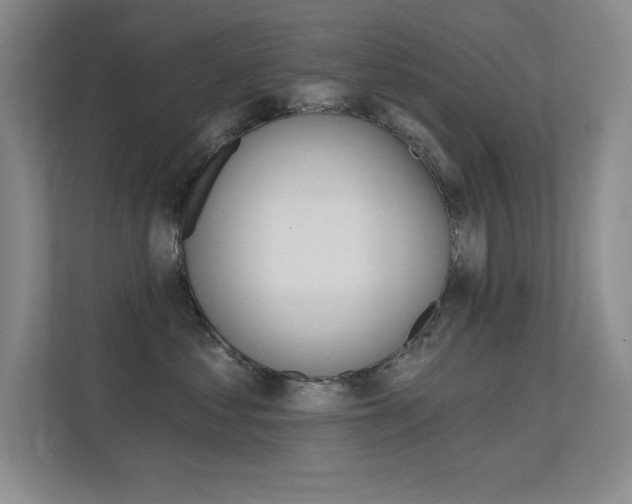 X0000112390621200908131345