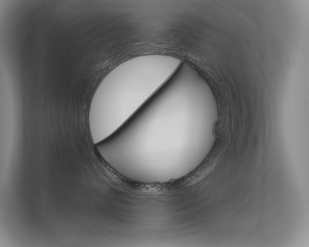 X0000112390624200908131345