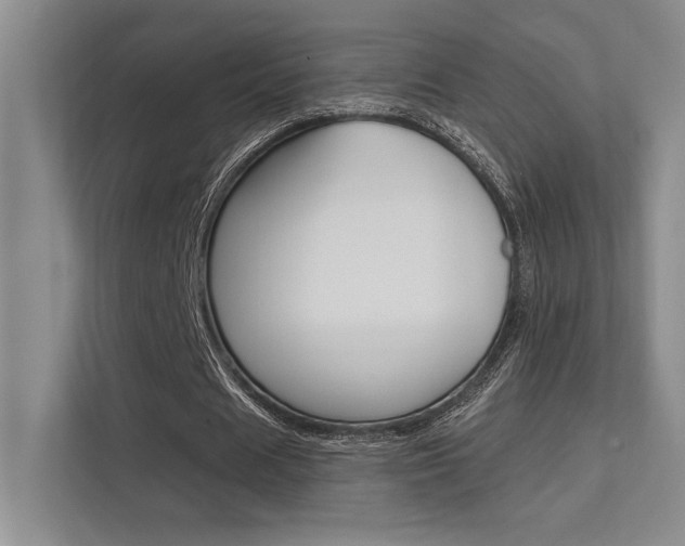 X0000112390625200908131344