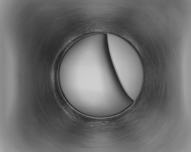 X0000112390626200908131344
