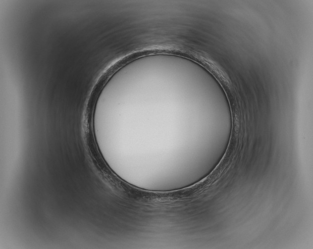 X0000112390628200908131344